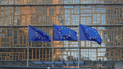 EU ambassadors rebel against Commission's deforestation plans