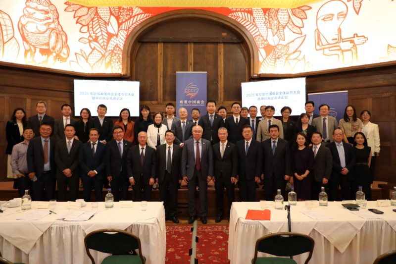 Navigating Compliance Maze, Chinese Firms Stay Anchored in EU