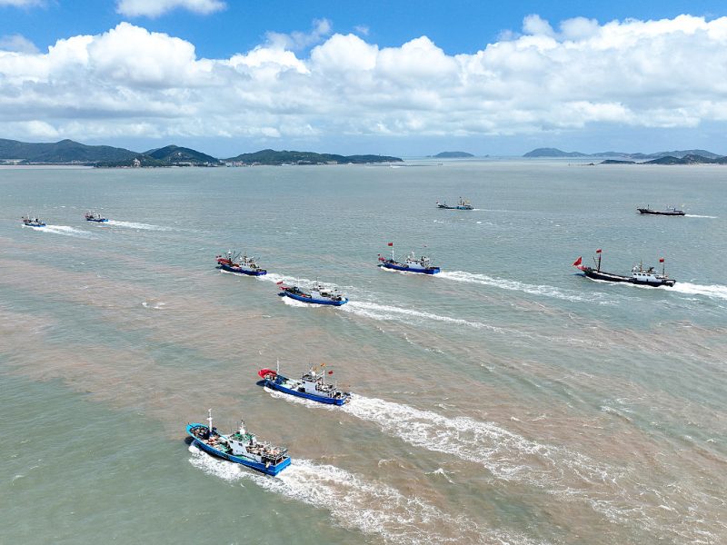 The hidden deforestation beneath the waves