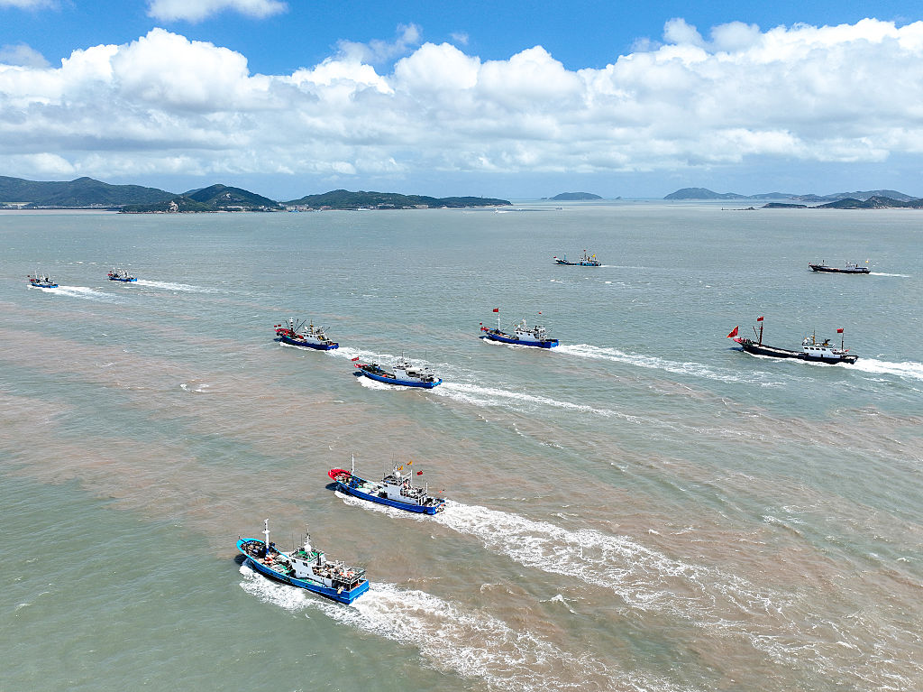 The hidden deforestation beneath the waves