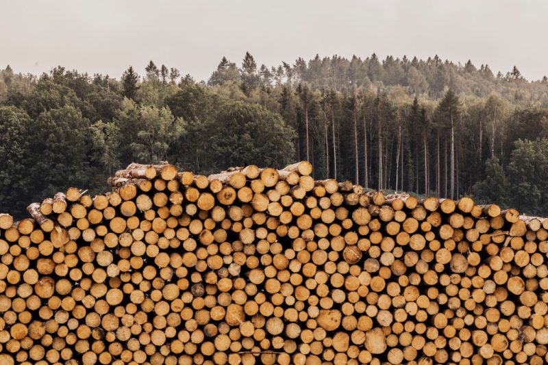 Deforestation rules divide EU institutions as delay gains ground
