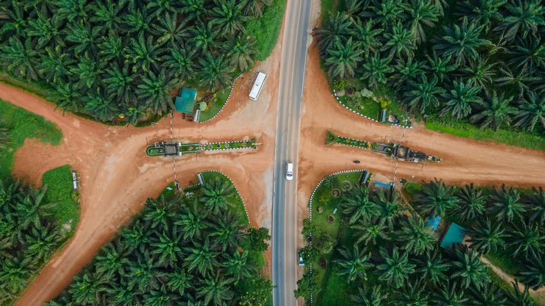 Palm oil producers call for clarity as EUDR delay debate deepens